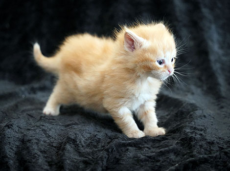 Ole am 16. März 2025